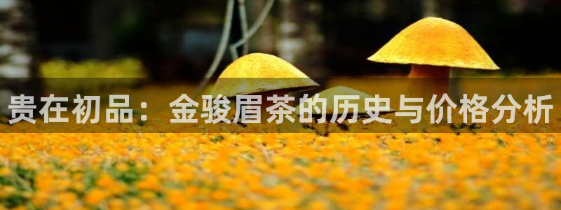 鸿运来彩票平台