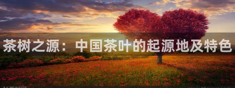 鸿运投资平台是什么