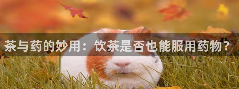 下载app鸿运平台