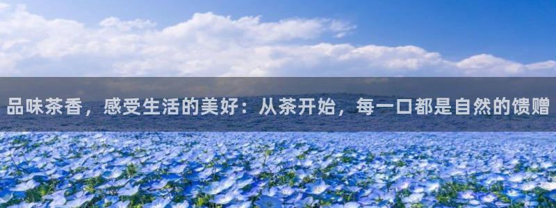 鸿运平台推荐产品