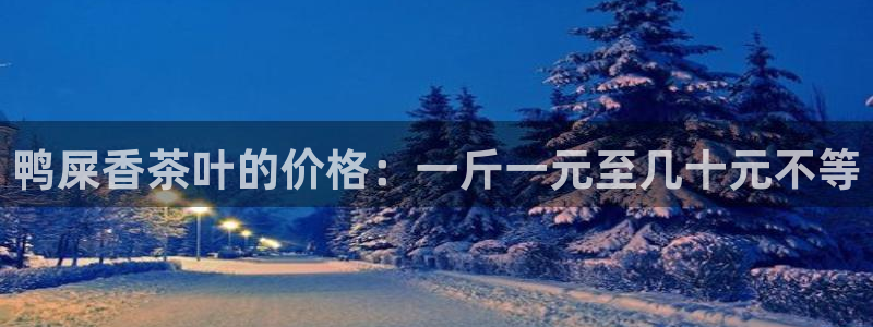 鸿运国际黑平台