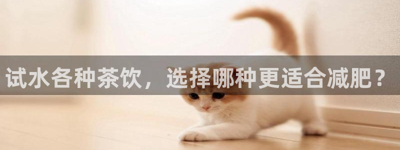 鸿运汽车团购平台