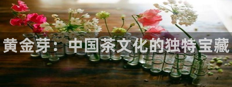 鸿运来平台正规吗