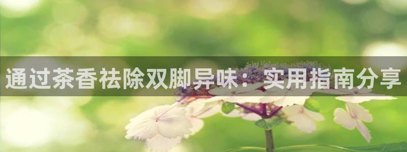 鸿运平台进入官网