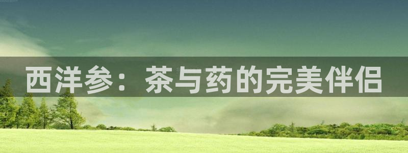 鸿运平台是骗子平台吗