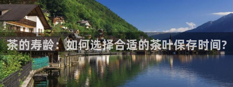 鸿运投资平台是什么平台