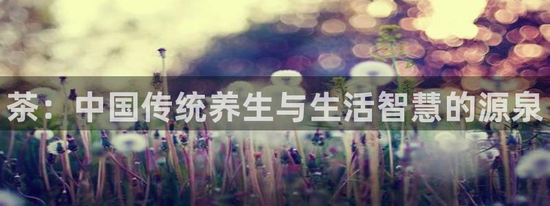 鸿运平台正规吗