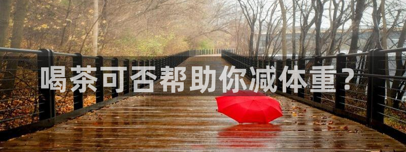 鸿运权威彩票平台