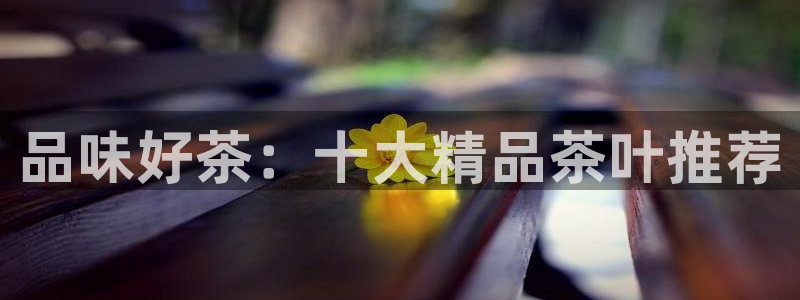 鸿运和拍拍卖平台