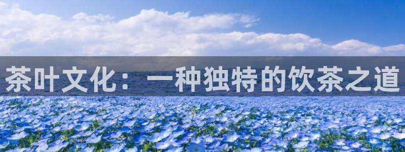 鸿运当头翡翠平台