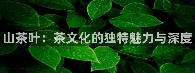 鸿运供应管理平台