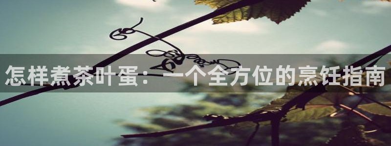 铜陵鸿运拍卖平台