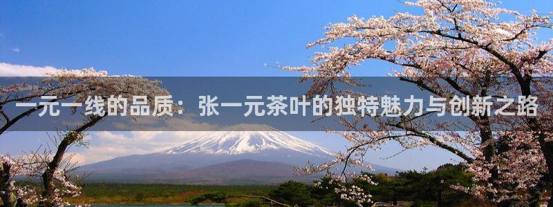 鸿运平台进入官网