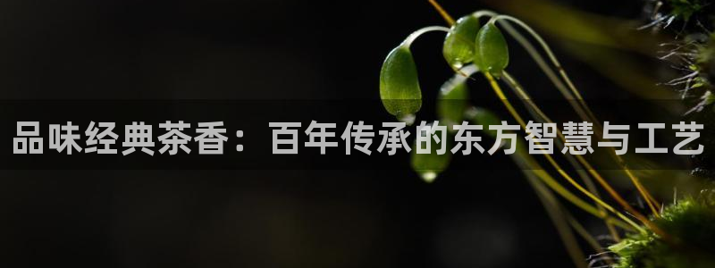 游戏鸿运平台网站