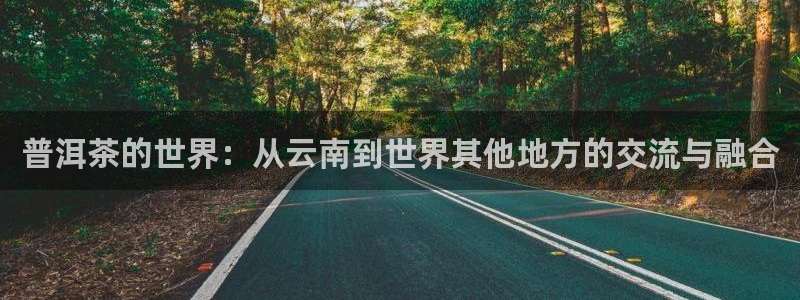 鸿运公司滴滴平台