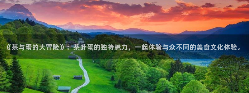 鸿运专业购彩平台网止