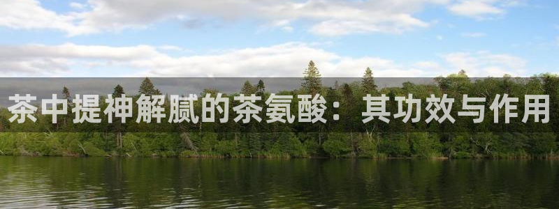 鸿运公司有哪些平台