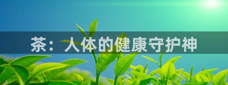 鸿运当头借款平台