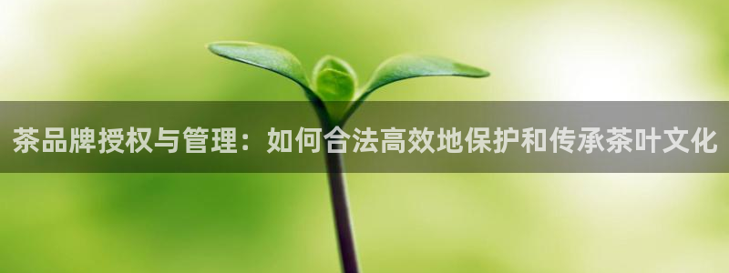 鸿运电商平台茶