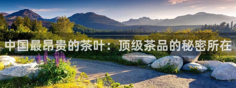 李鸿运开直播平台