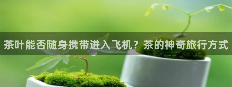 鸿运平台怎么注册