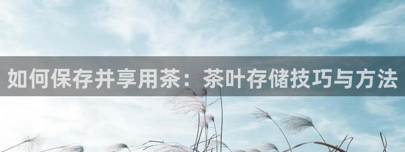 鸿运投资平台是什么