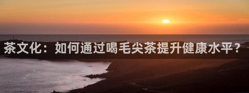 鸿运投注网平台