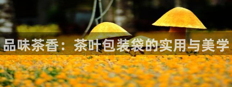 鸿运彩票平台登入