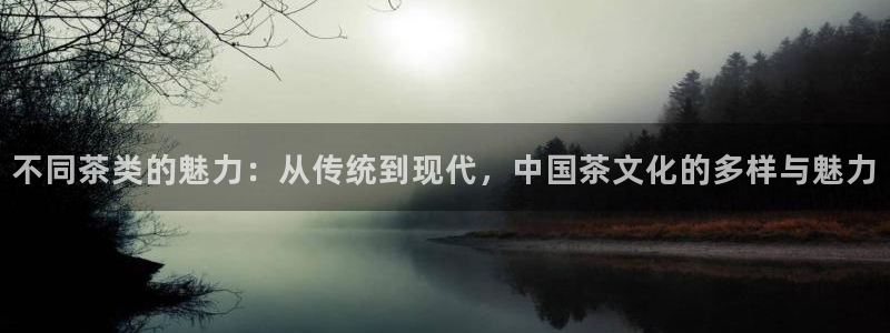 鸿运大发总代理平台