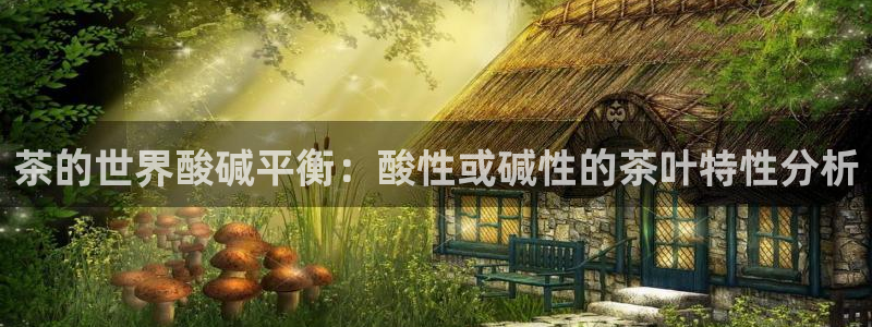琥珀鸿运平台多久了