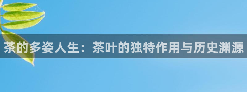 鸿运注册真人平台