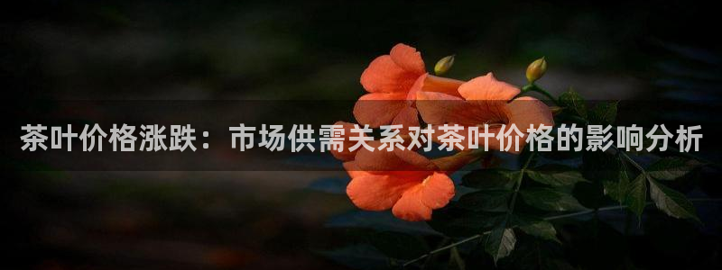 鸿运体育平台