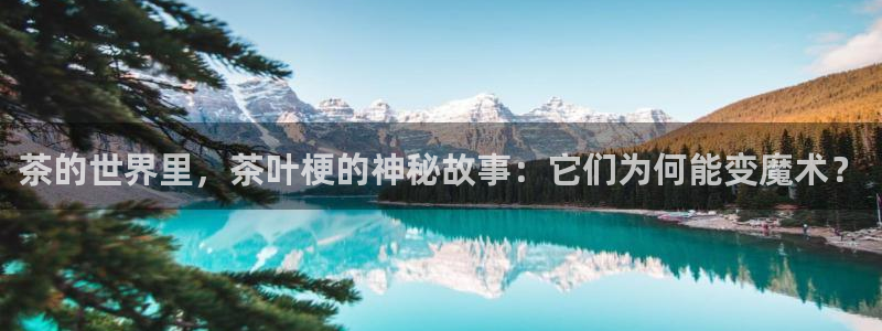 鸿运海鲜团购平台