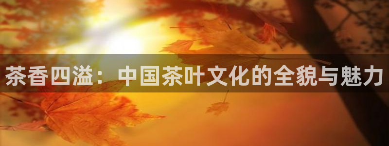 琥珀鸿运平台多久了