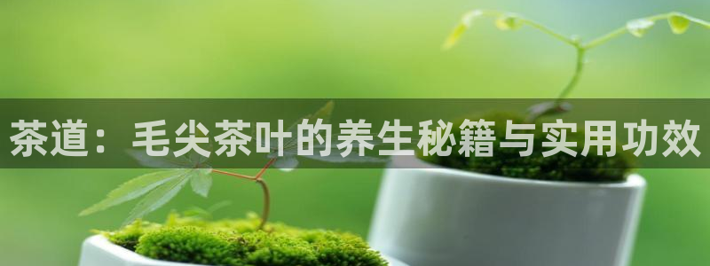 铜陵鸿运拍卖平台