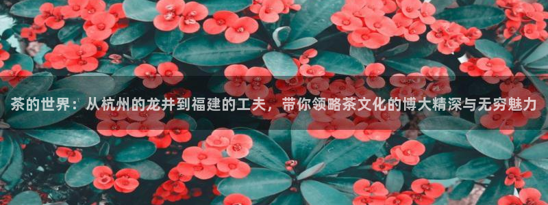 鸿运海鲜团购平台