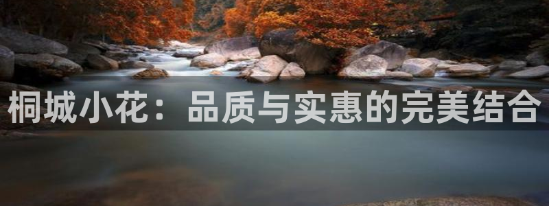 鸿运授权平台