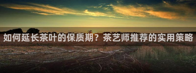 鸿运投资平台客服电话