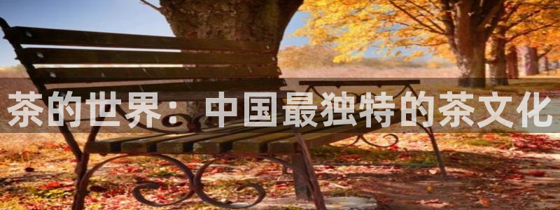 菲律宾鸿运彩票平台