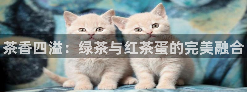 鸿运赌场视讯平台