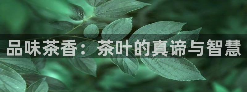 鸿运市场直播平台