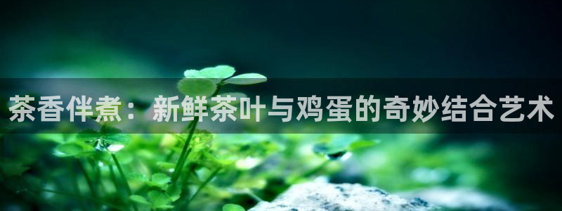 鸿运最新平台