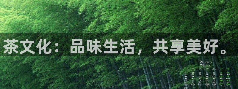 鸿运棋牌平台