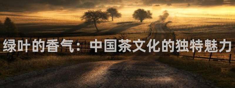 鸿运北斗监控平台