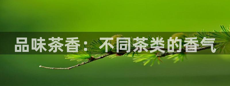 鸿运茶商平台