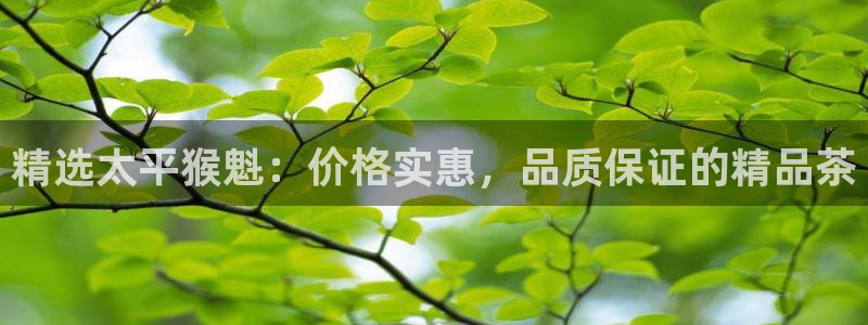 鸿运到平台