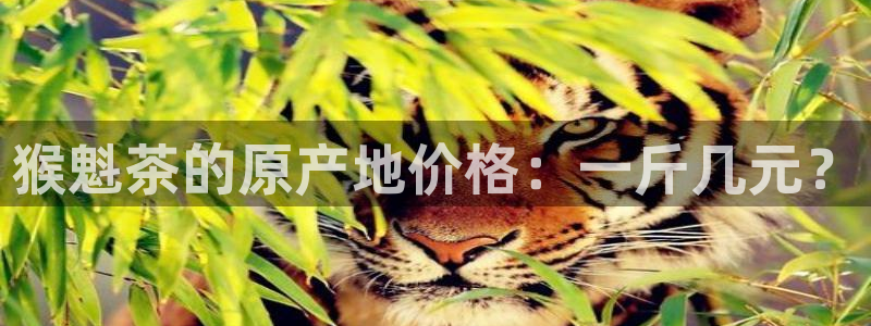 大发鸿运平台