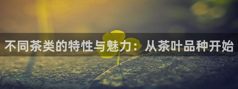 香港鸿运微投资平台