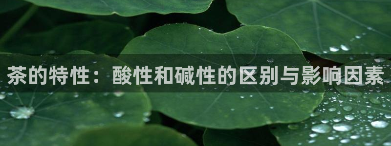 鸿运集团办公平台