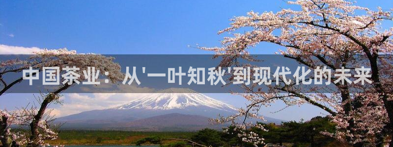 鸿运棋牌直播平台
